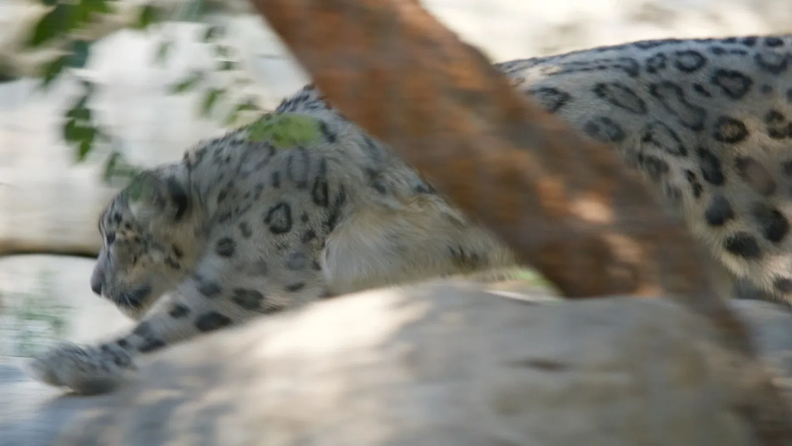 Zoológico de Los Ángeles