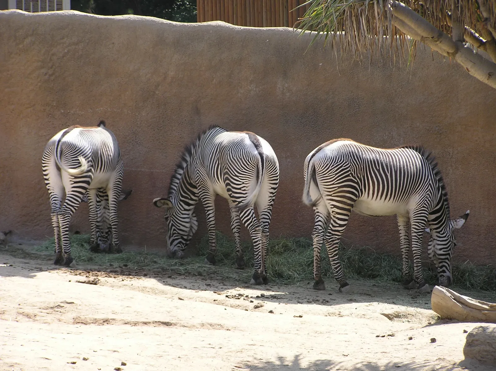 Zoológico de Los Ángeles