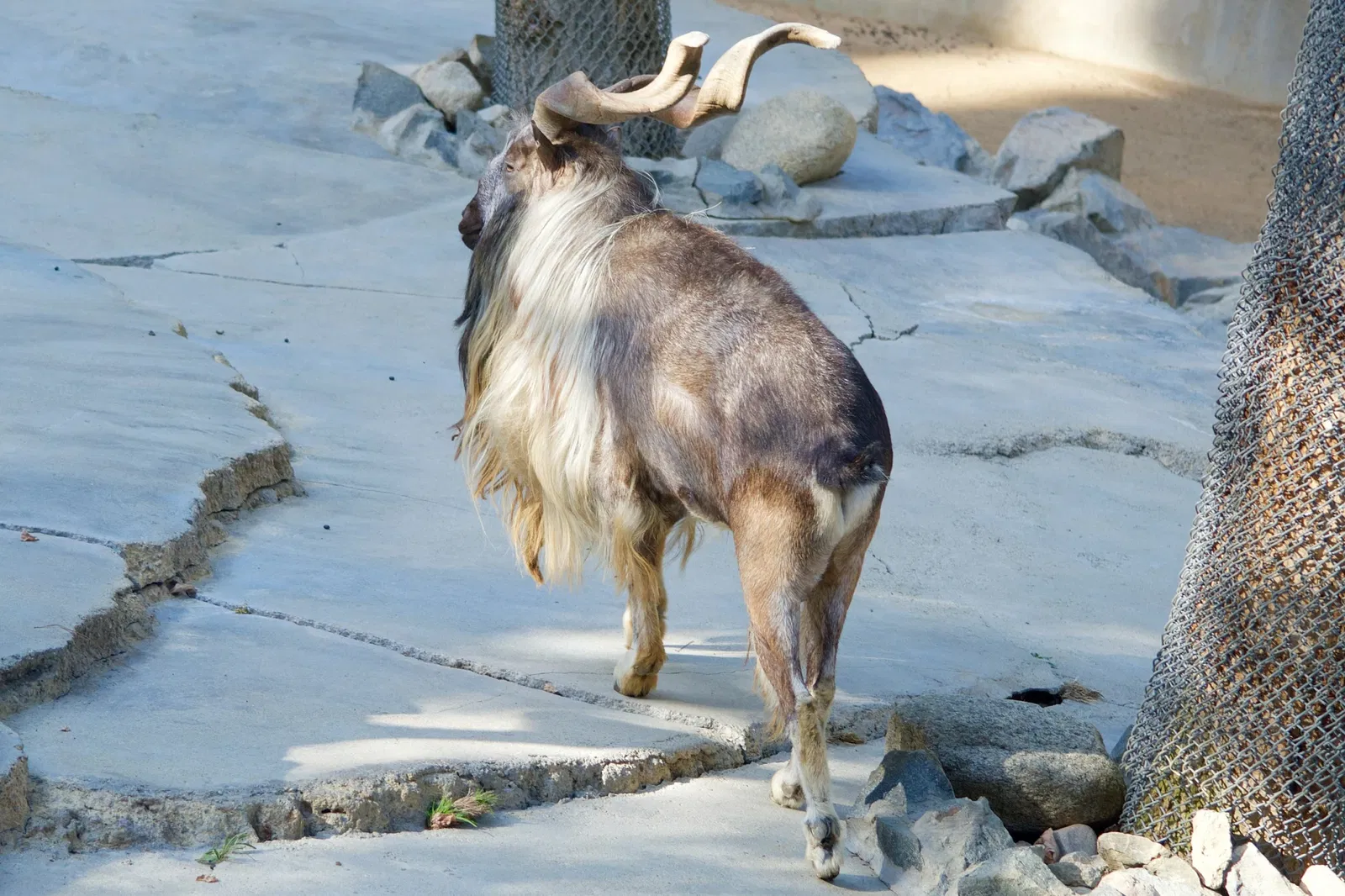 Zoológico de Los Ángeles