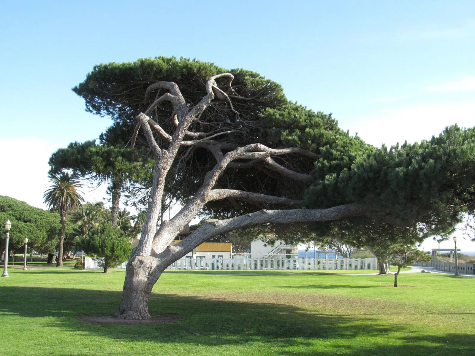 Point Fermin Lighthouse