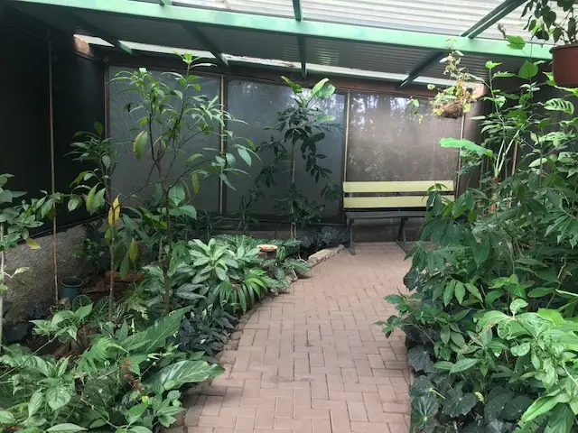 Monteverde Butterfly Garden • Bryna