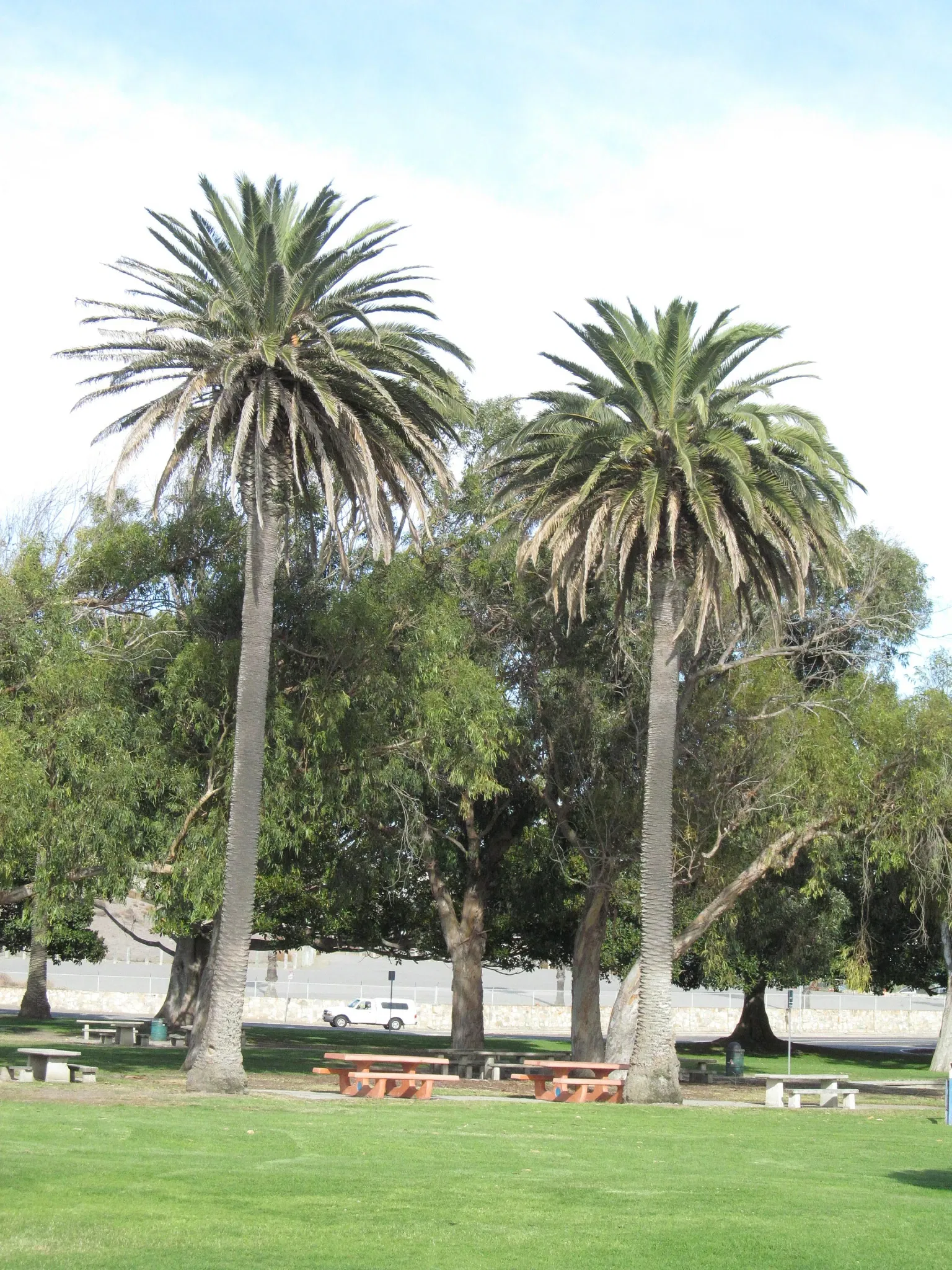 Point Fermin Lighthouse