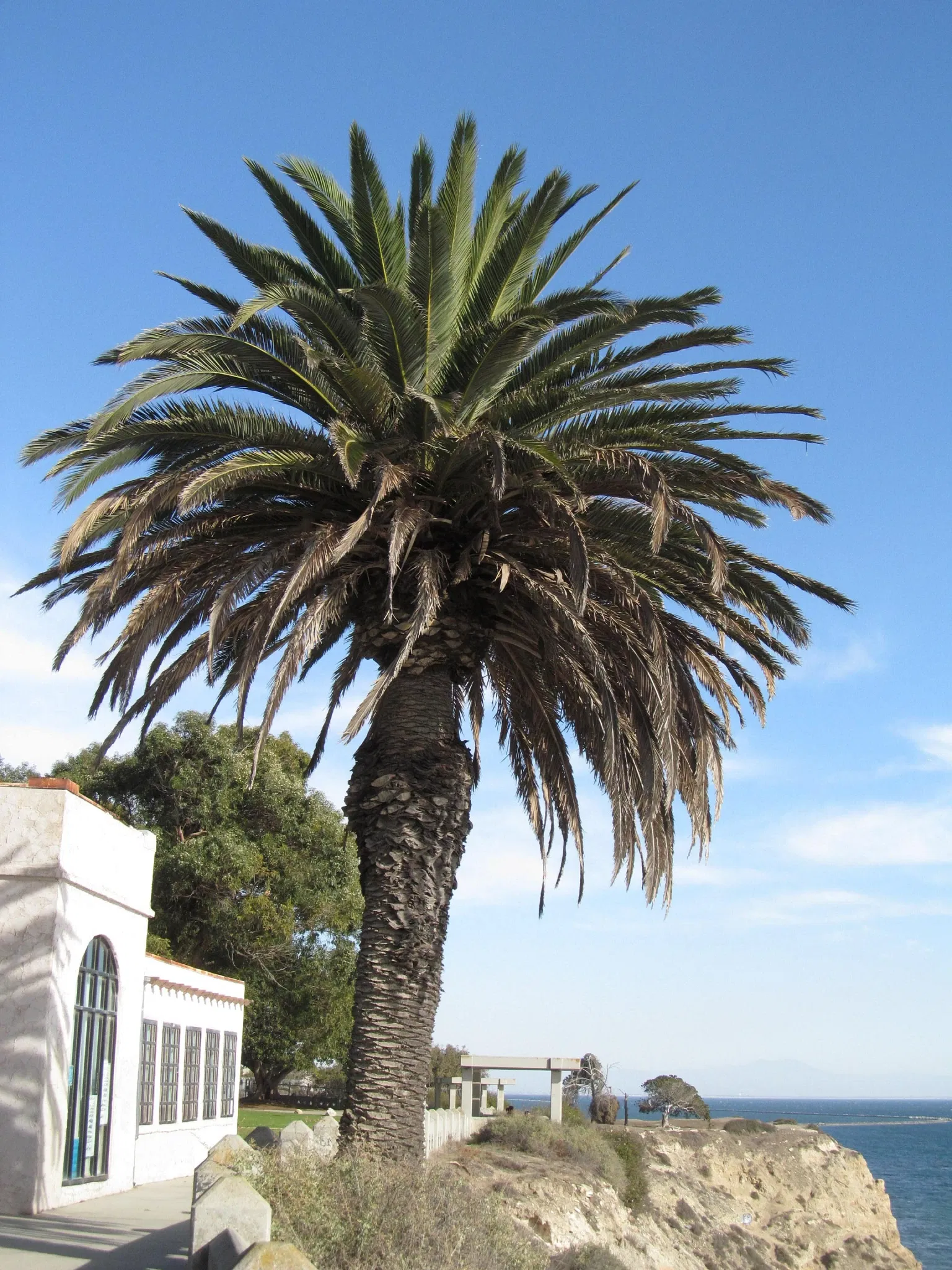 Point Fermin Lighthouse
