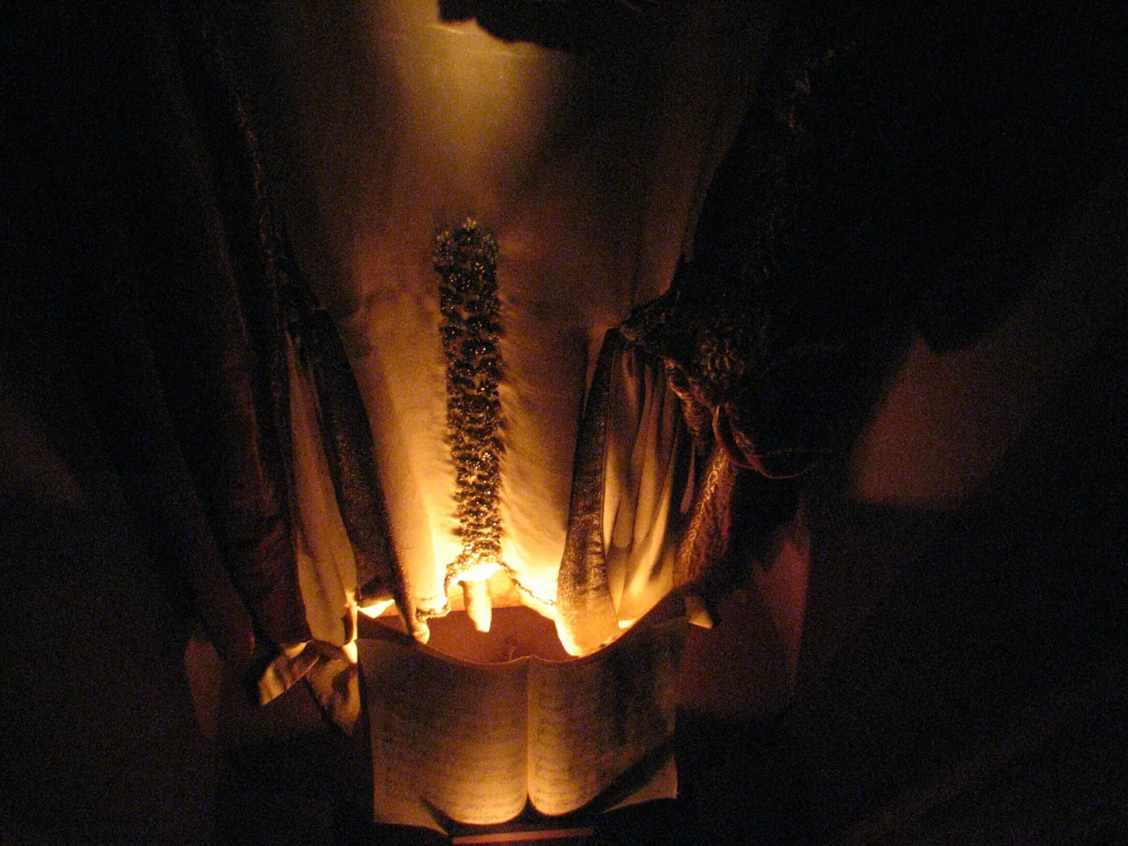 Museum of Jurassic Technology