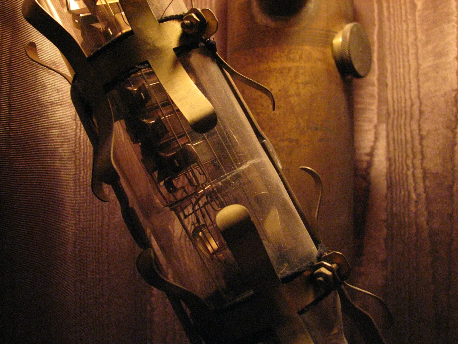 Museum of Jurassic Technology