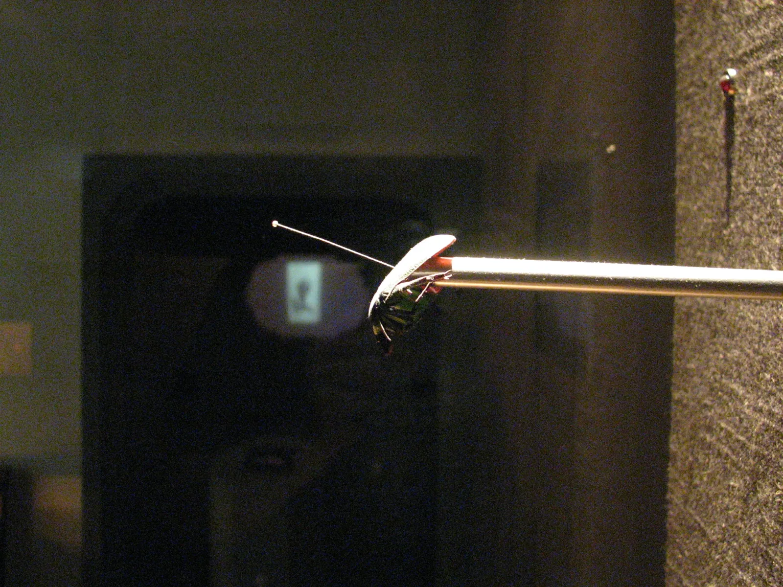 Museum of Jurassic Technology