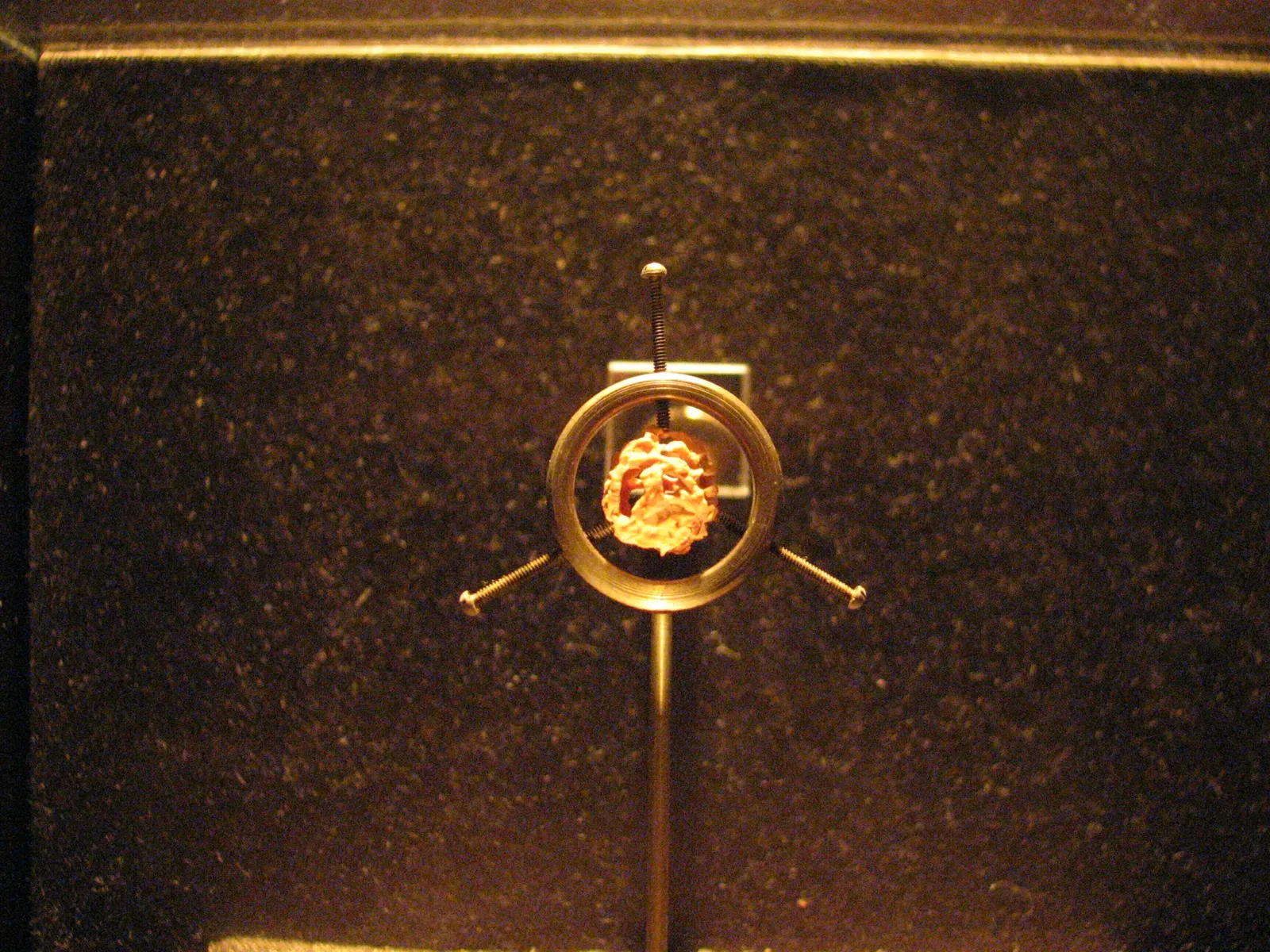 Museum of Jurassic Technology