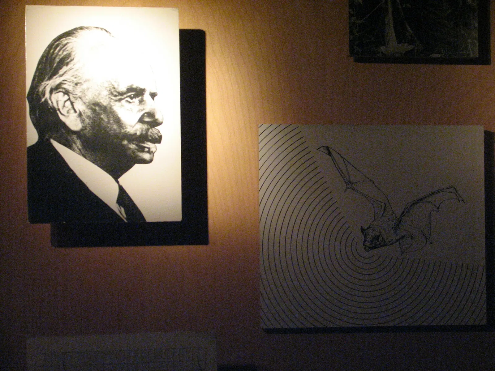 Museum of Jurassic Technology