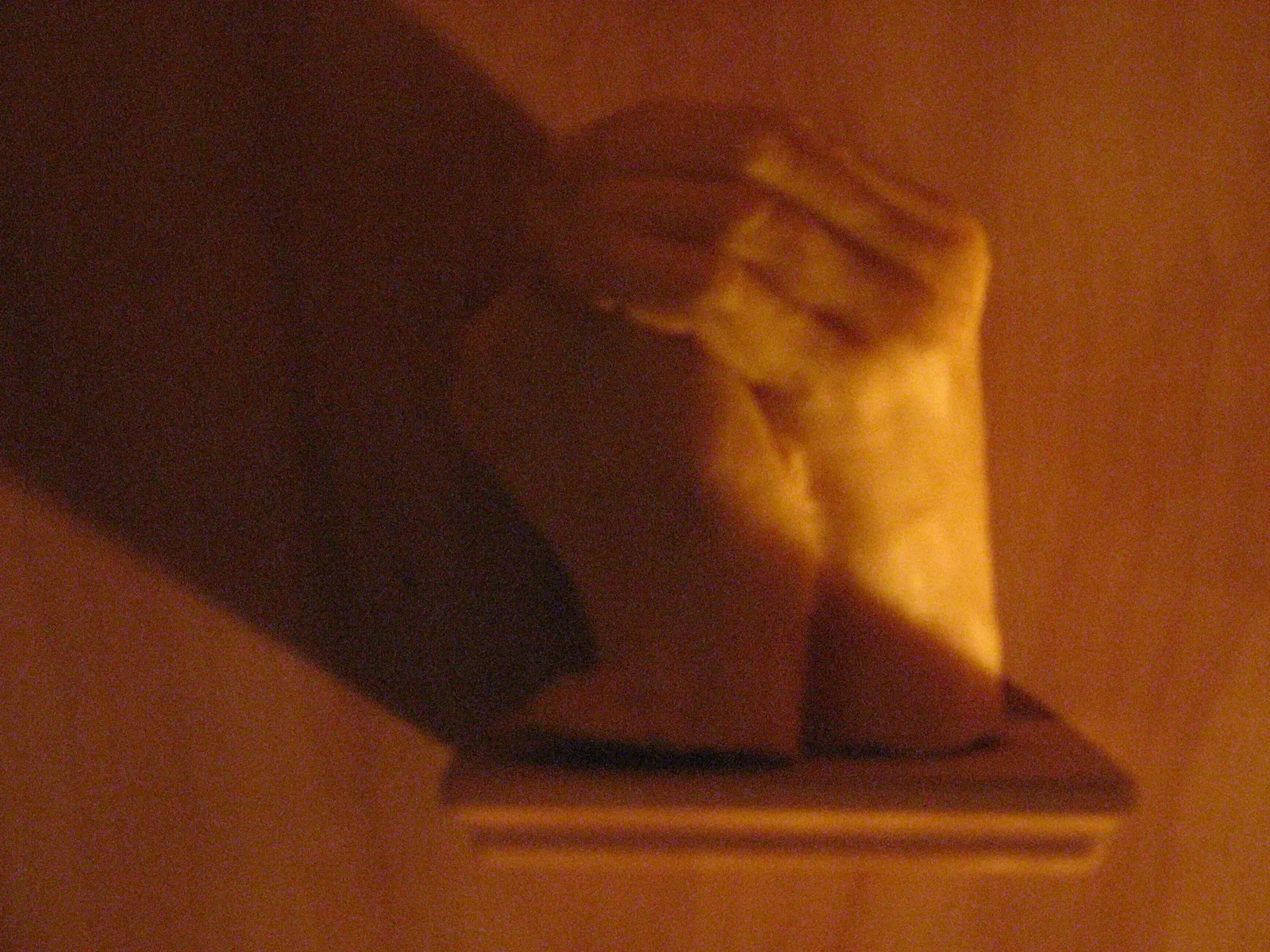 Museum of Jurassic Technology