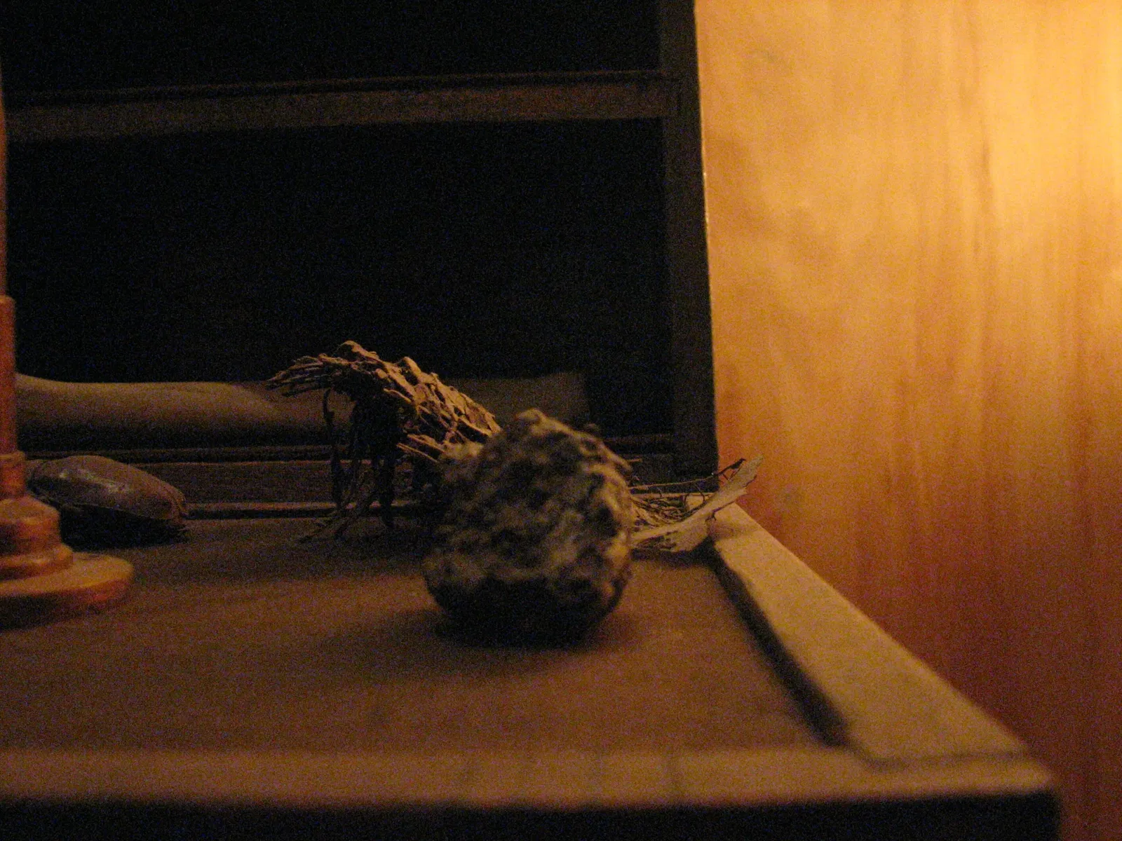 Museum of Jurassic Technology