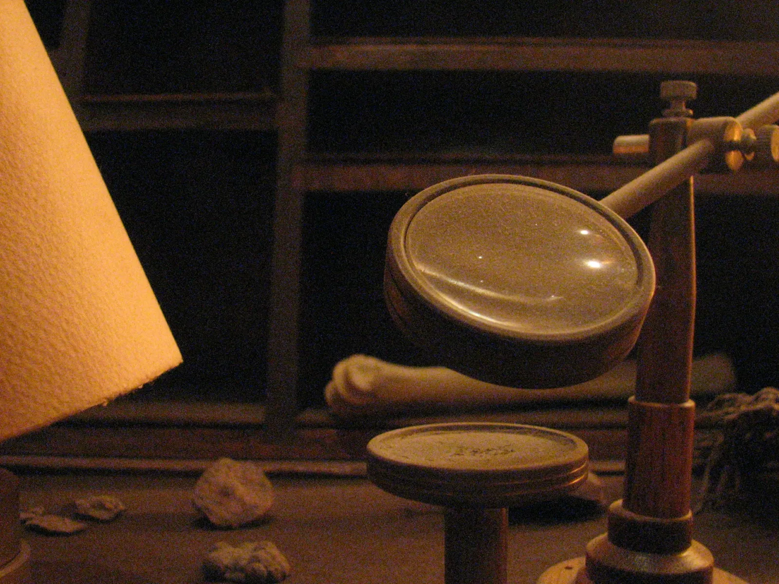 Museum of Jurassic Technology