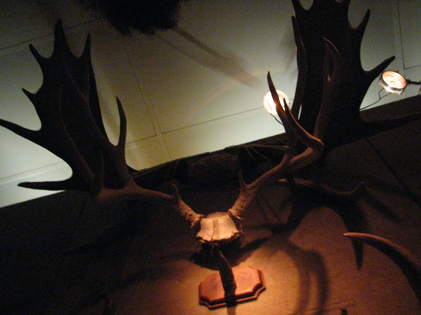 Museum of Jurassic Technology