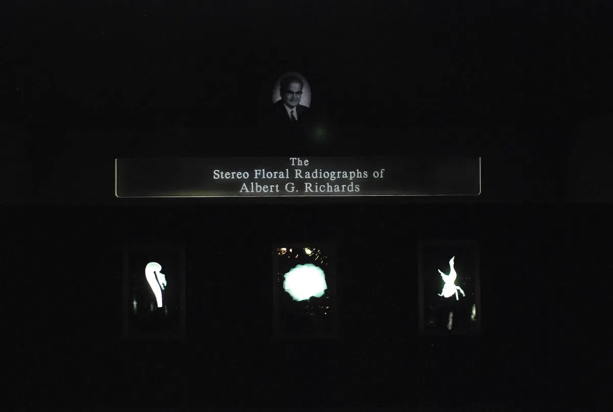 Museum of Jurassic Technology