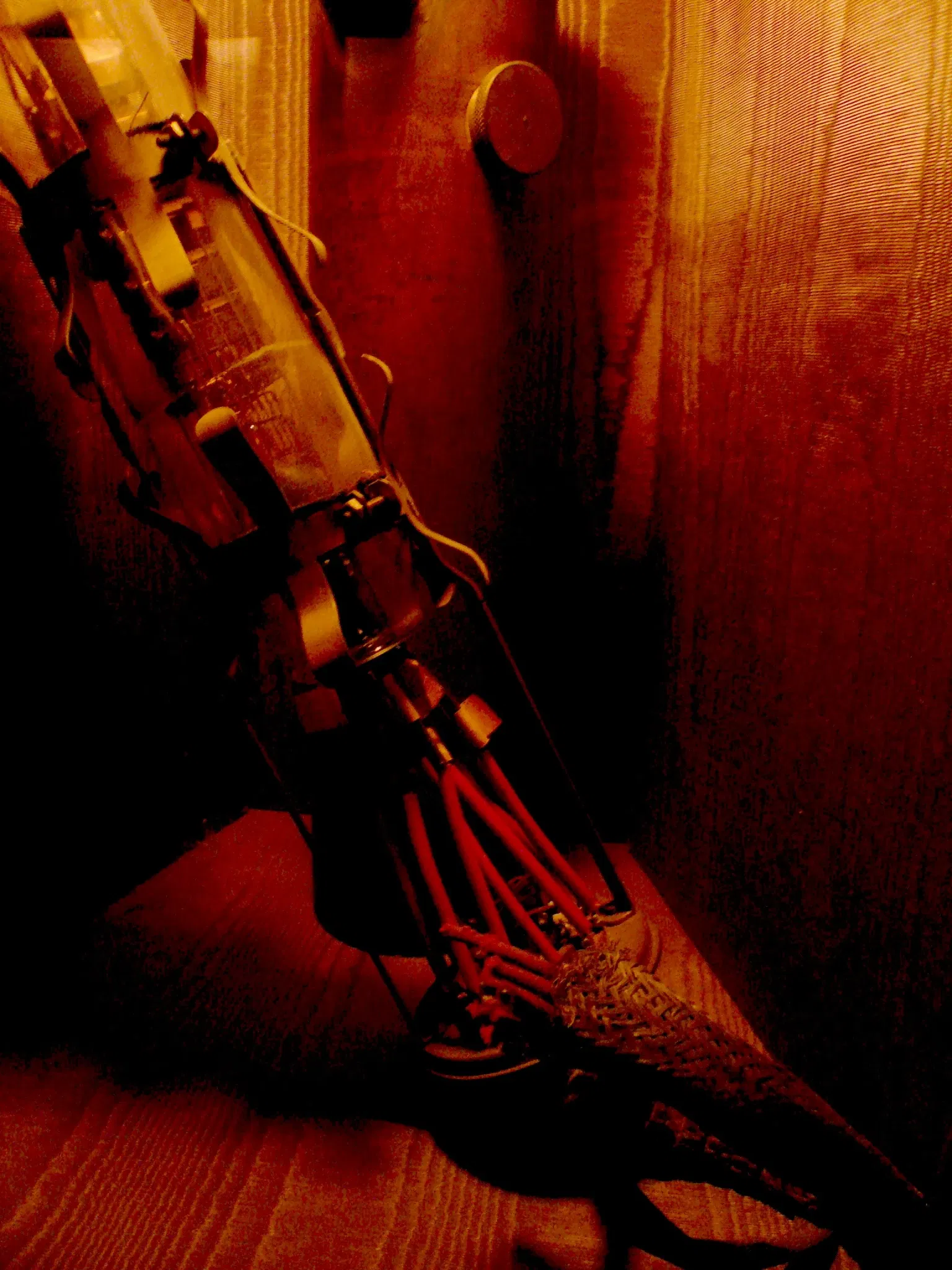 Museum of Jurassic Technology