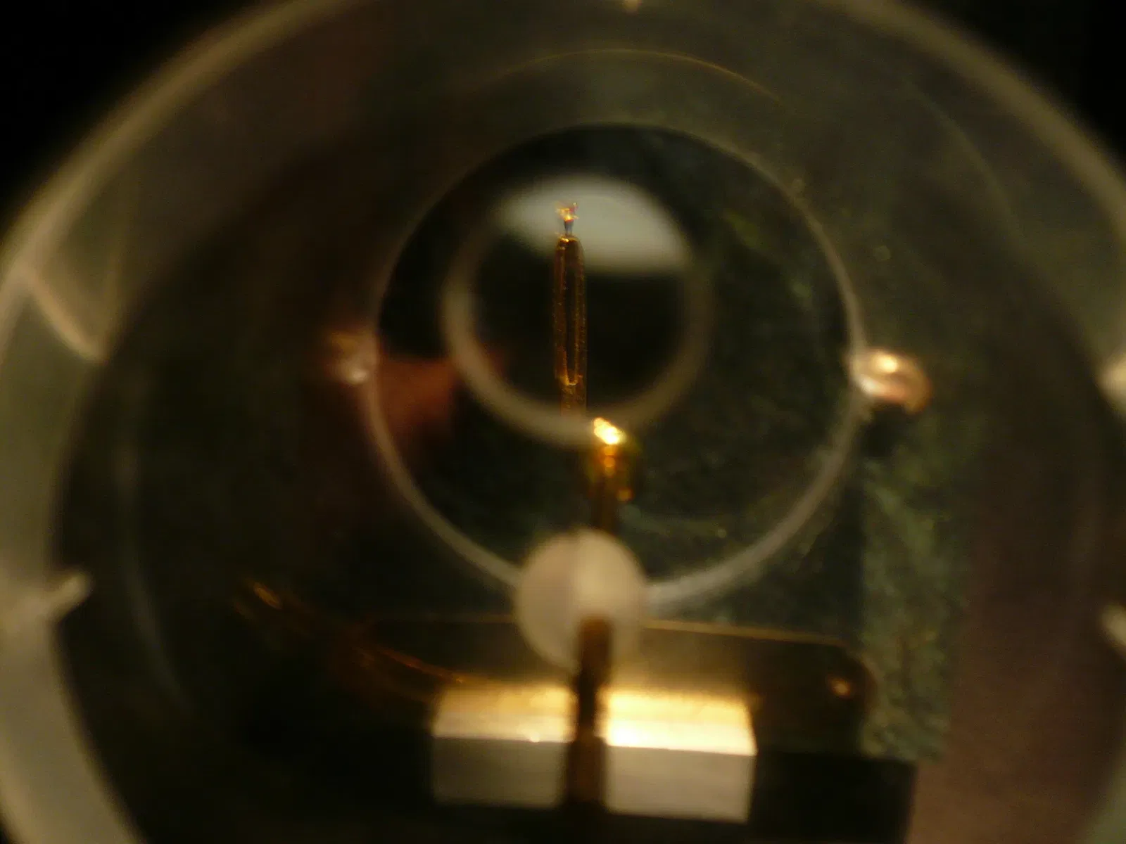 Museum of Jurassic Technology