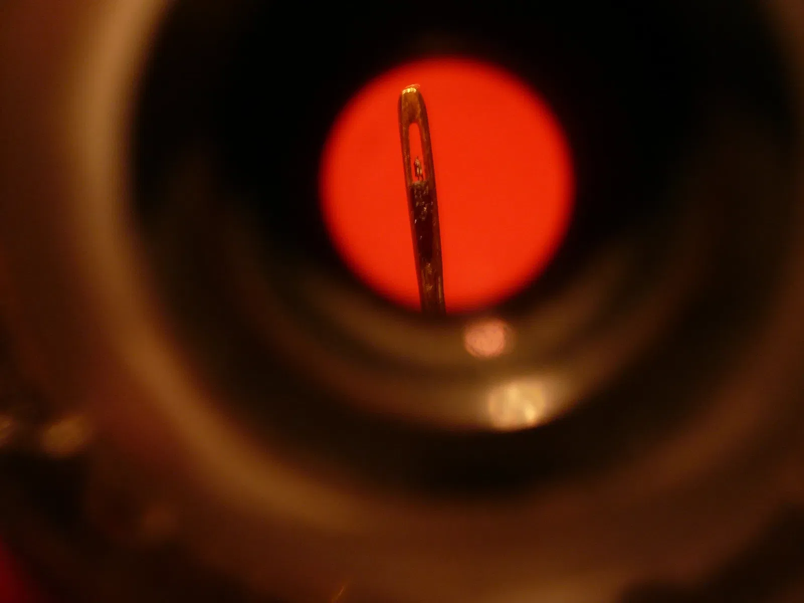 Museum of Jurassic Technology