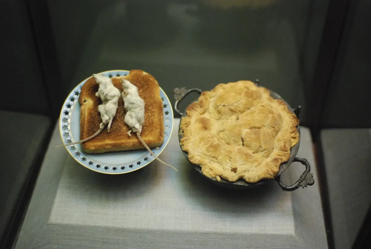 Museum of Jurassic Technology