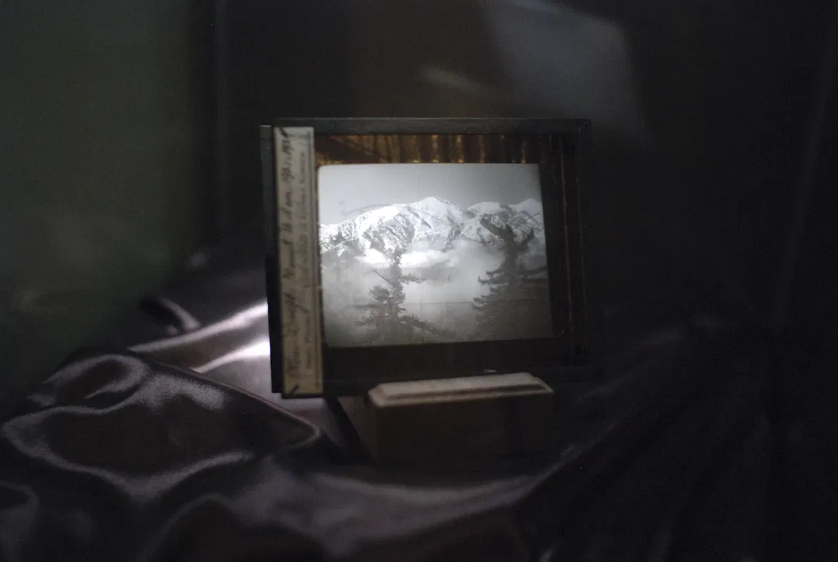 Museum of Jurassic Technology