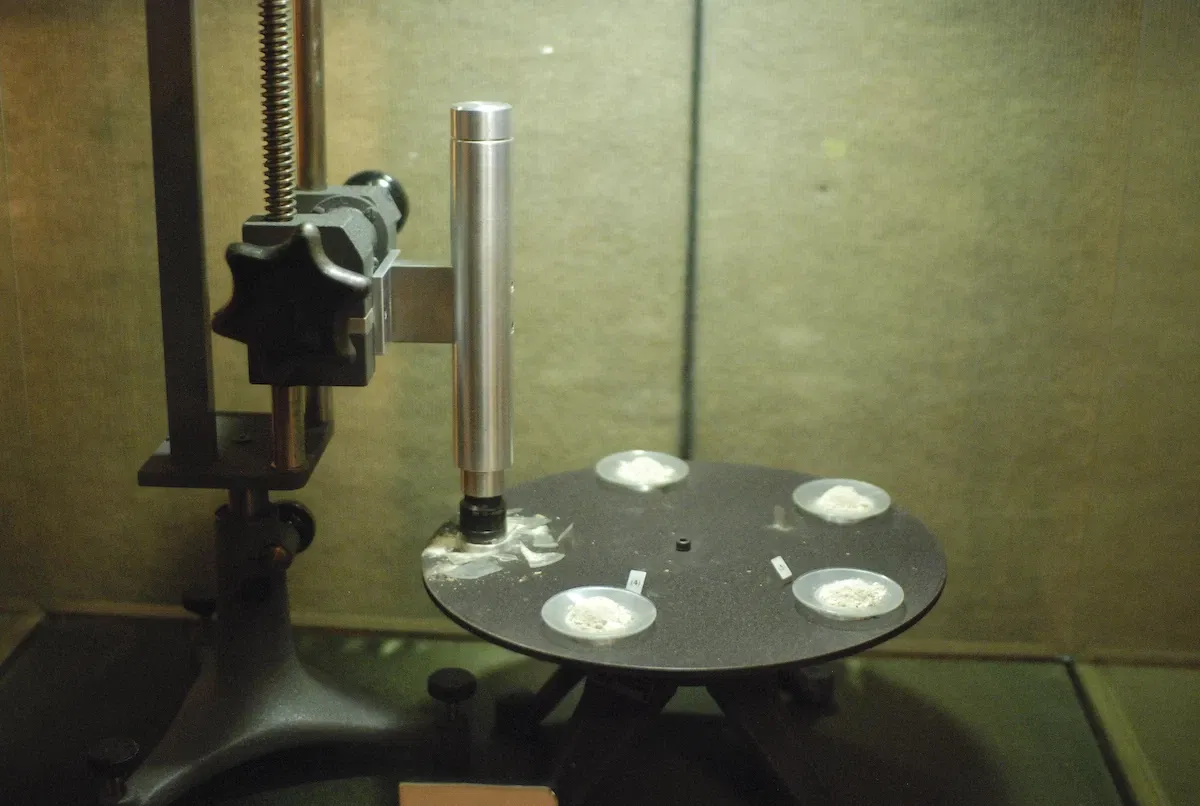 Museum of Jurassic Technology