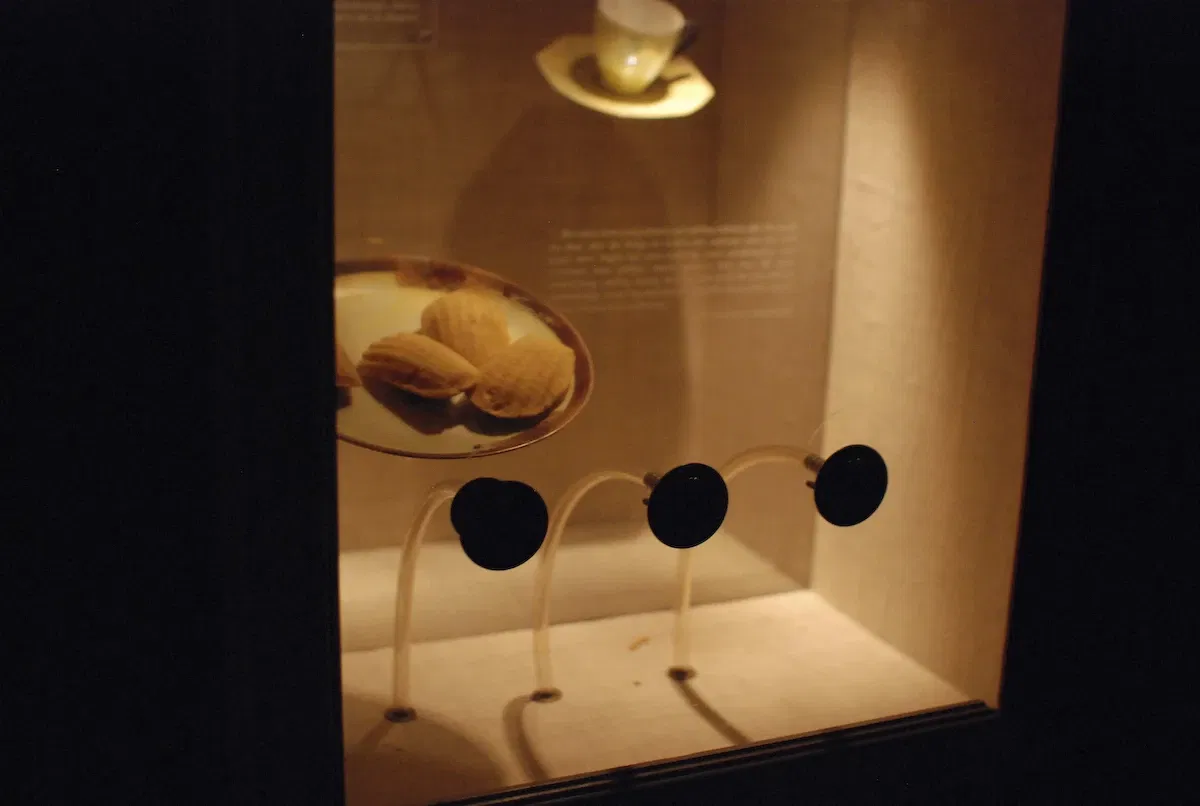 Museum of Jurassic Technology