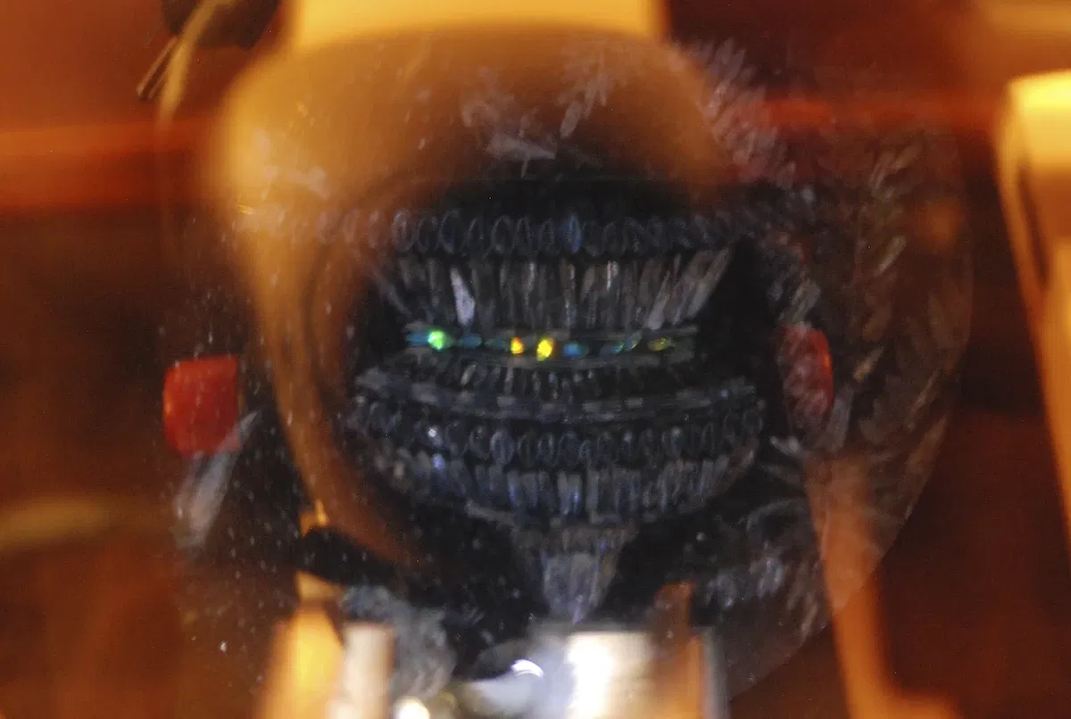 Museum of Jurassic Technology