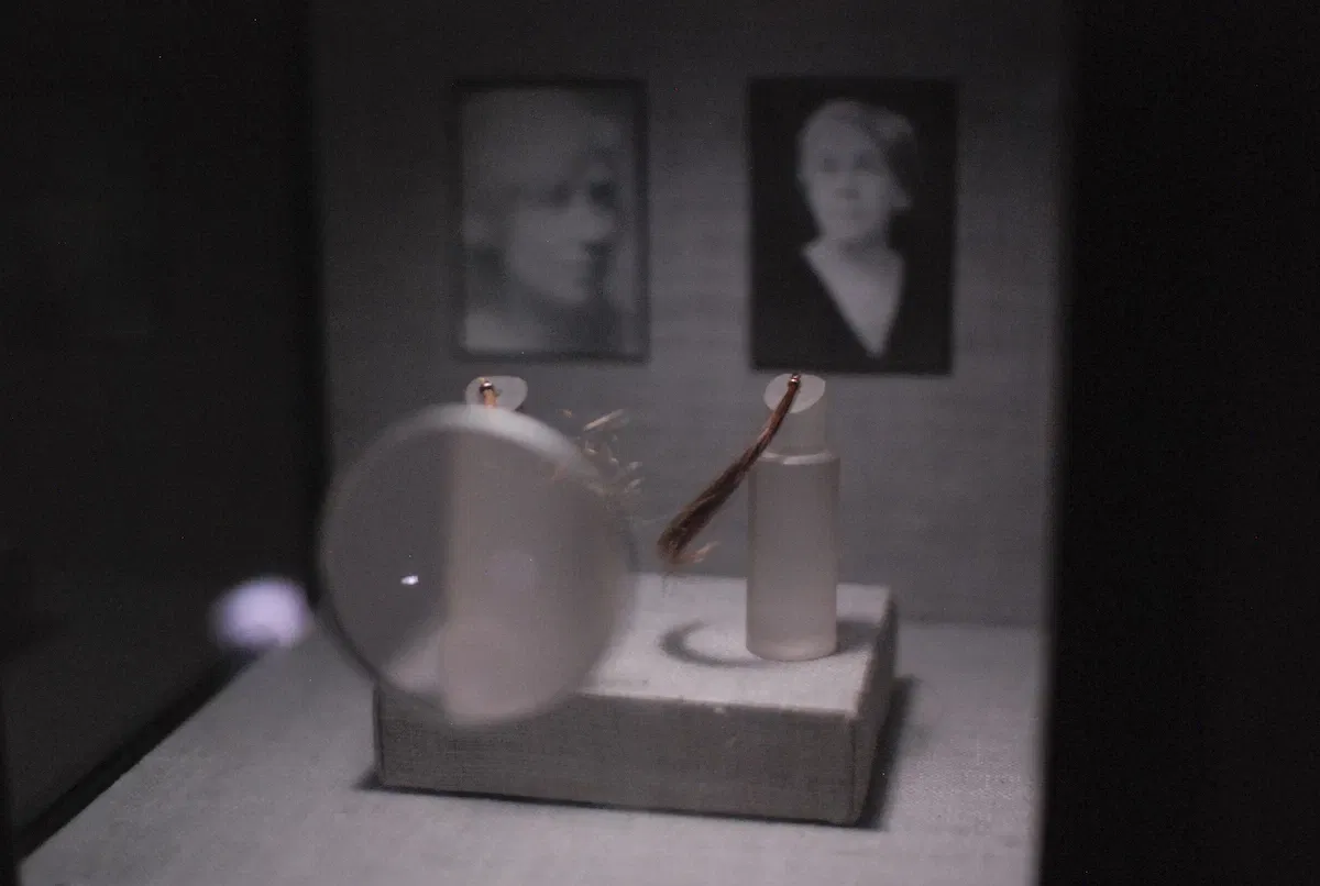 Museum of Jurassic Technology