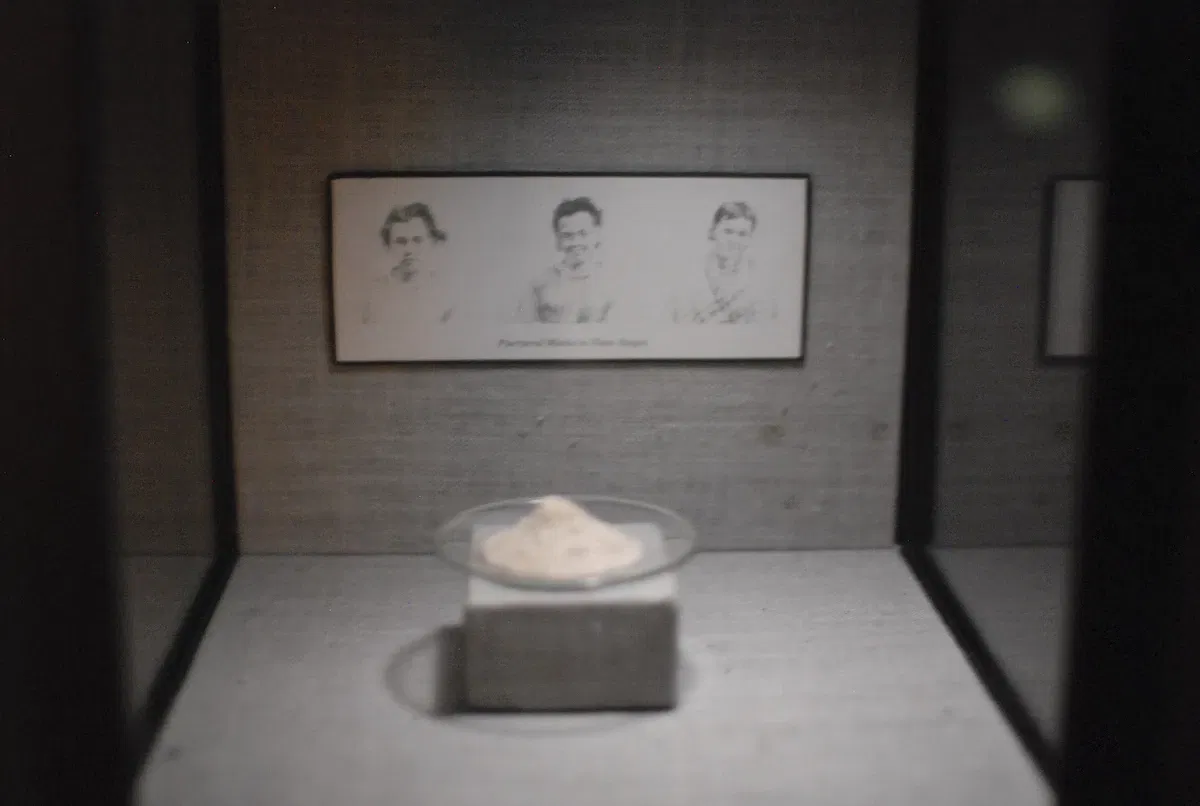 Museum of Jurassic Technology