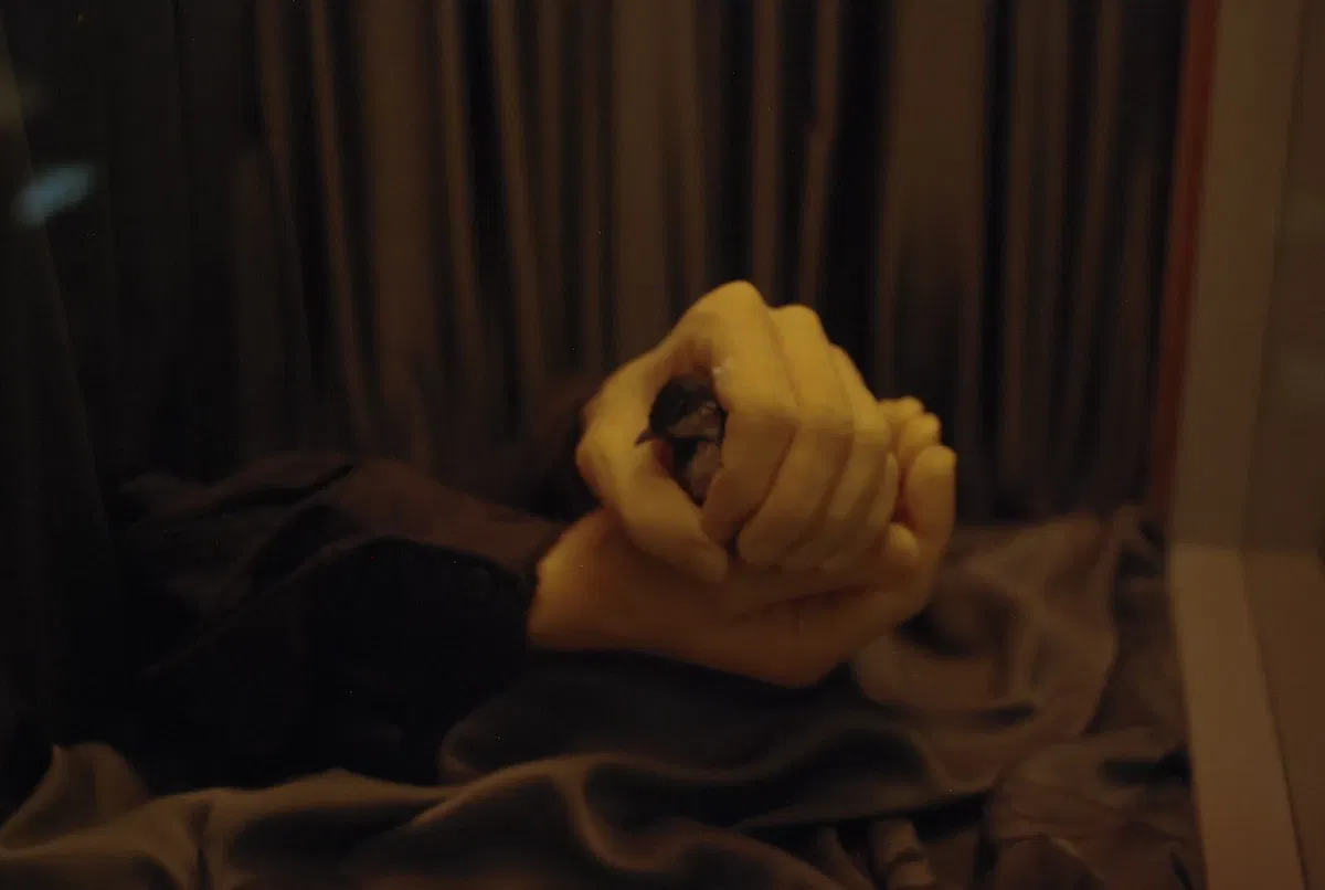 Museum of Jurassic Technology