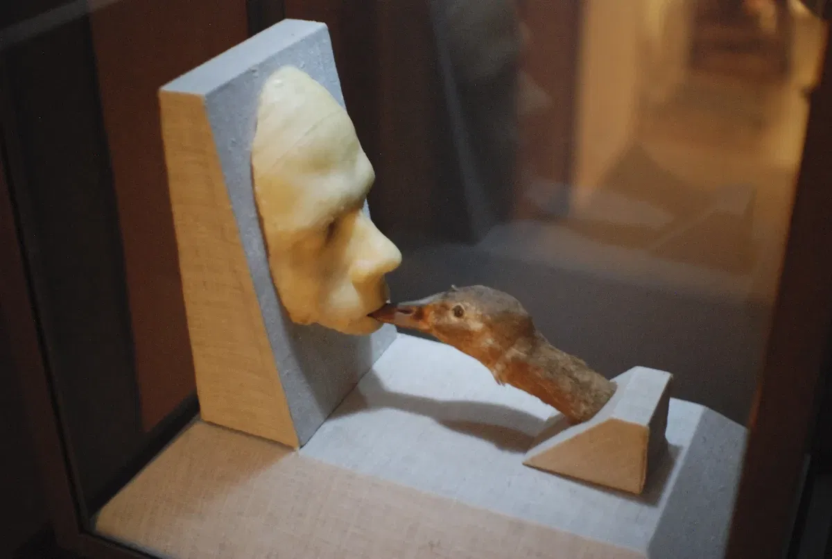 Museum of Jurassic Technology