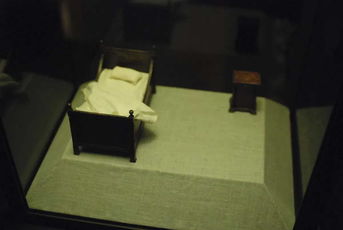 Museum of Jurassic Technology