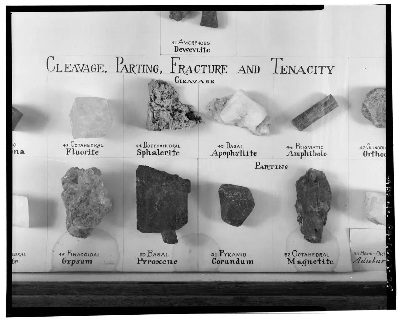 Wagner Free Institute of Science