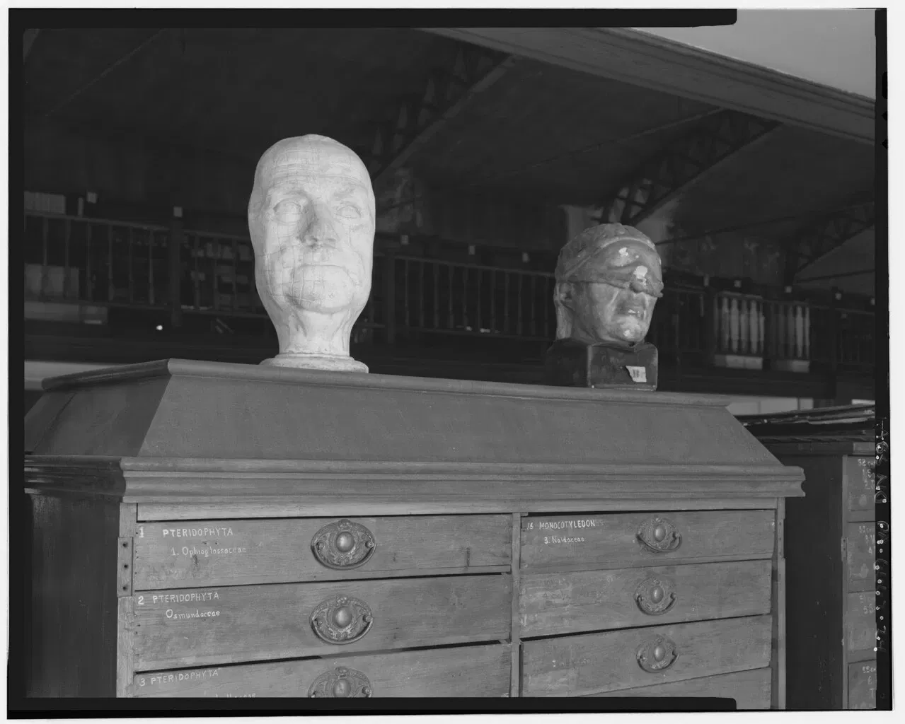 Wagner Free Institute of Science