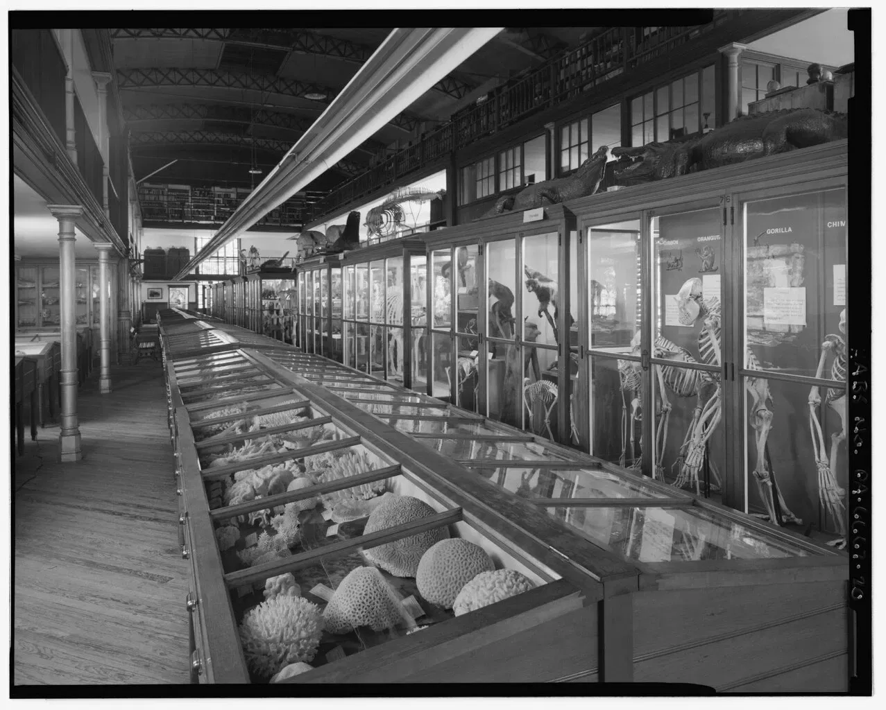 Wagner Free Institute of Science