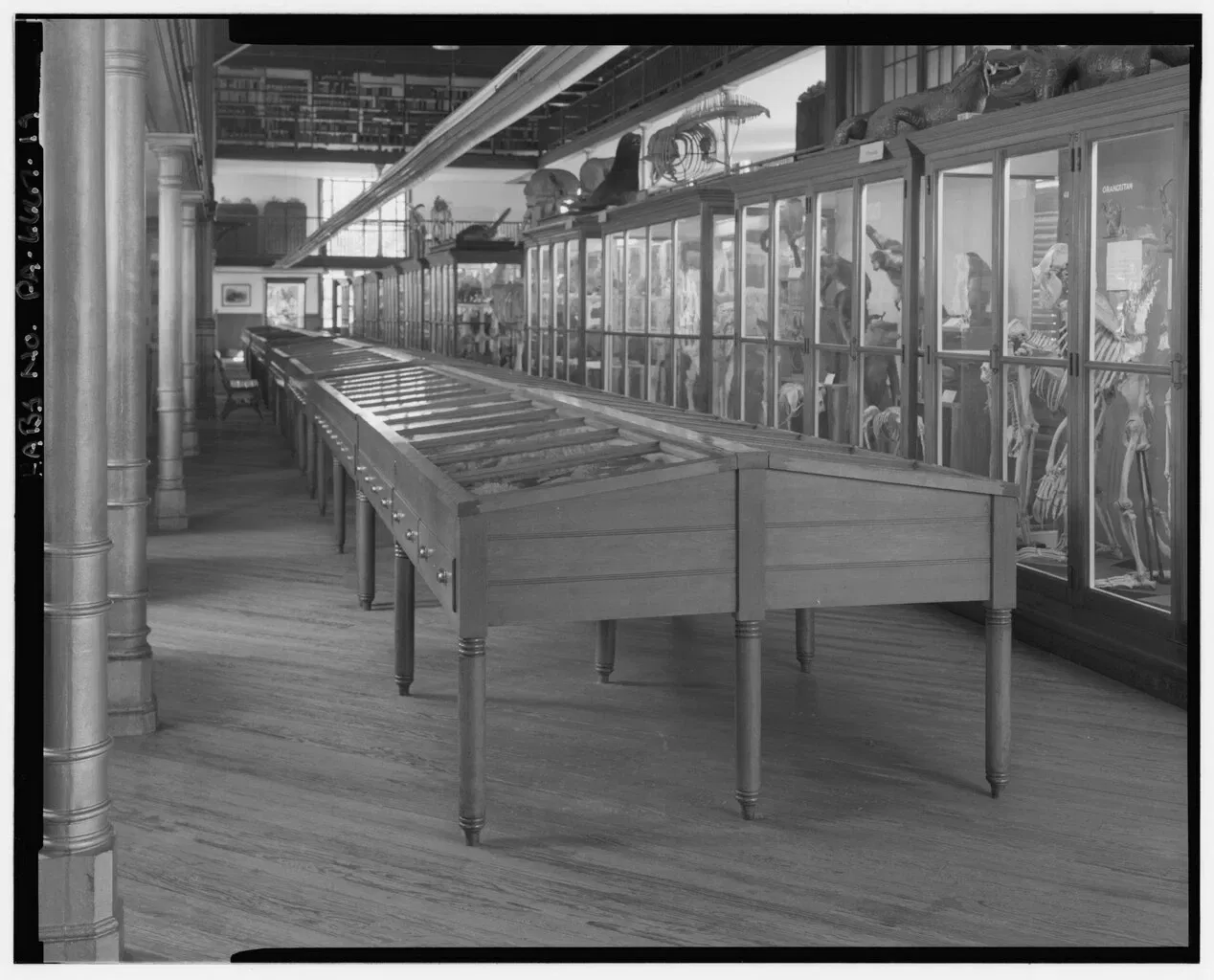 Wagner Free Institute of Science