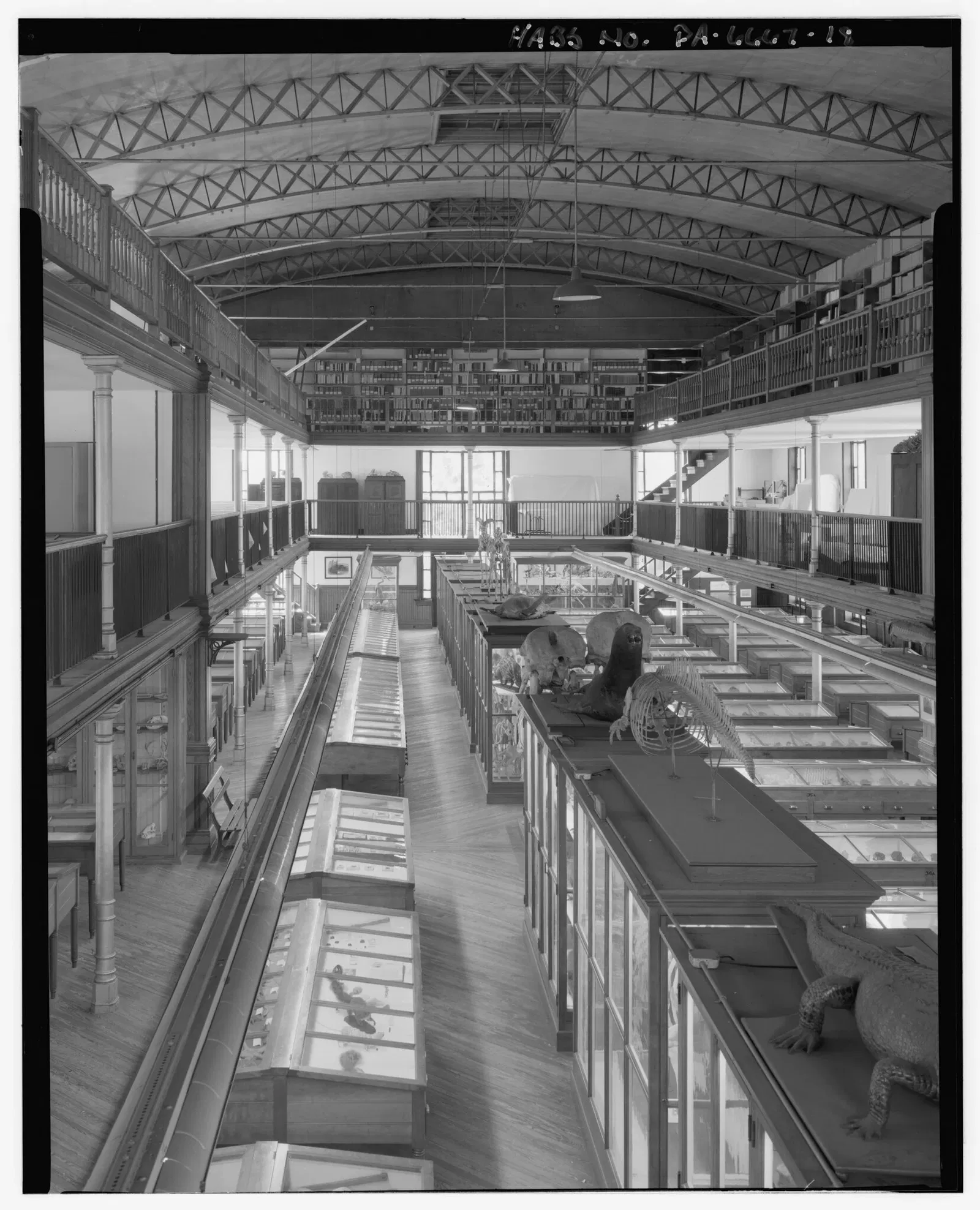 Wagner Free Institute of Science