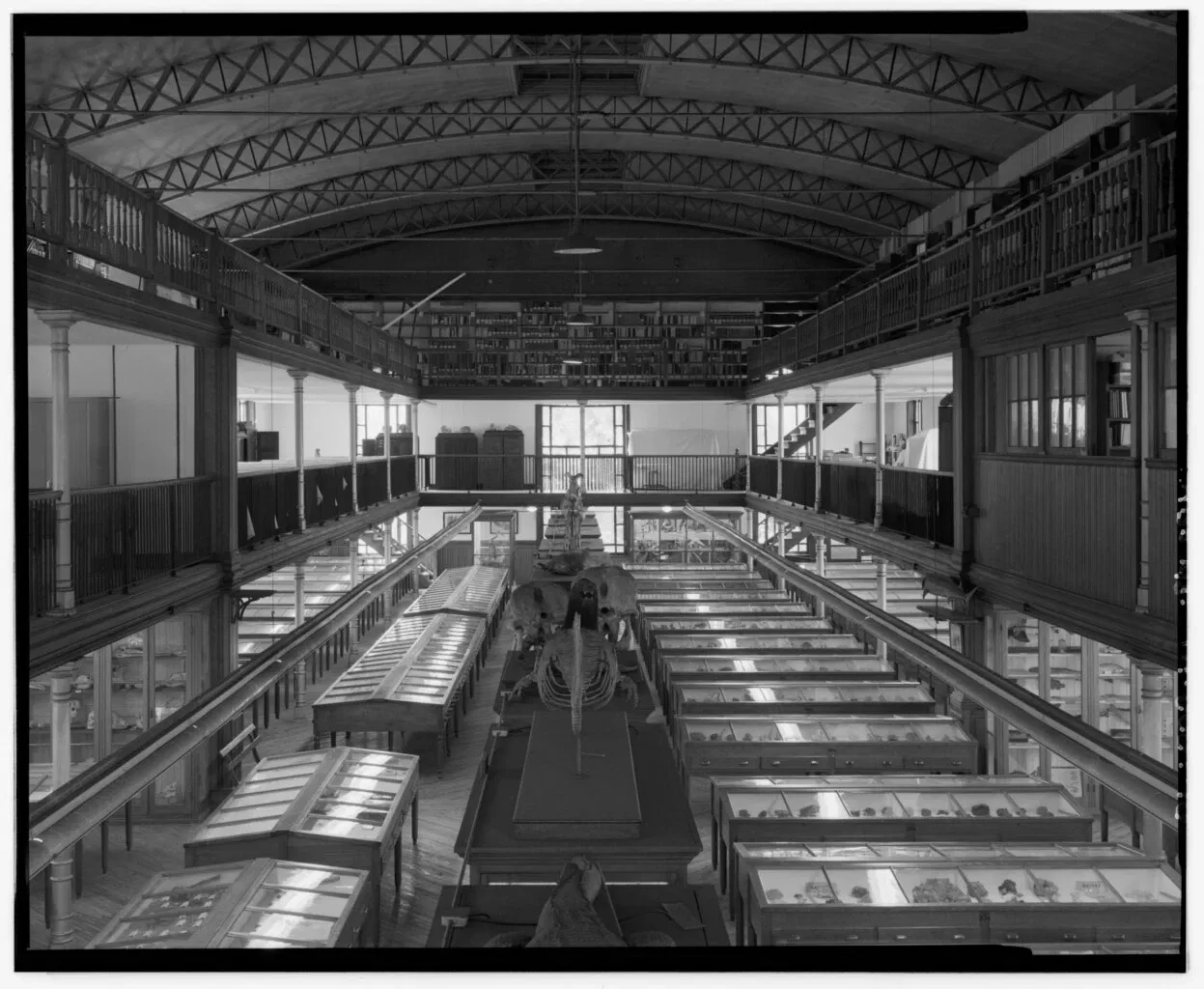 Wagner Free Institute of Science