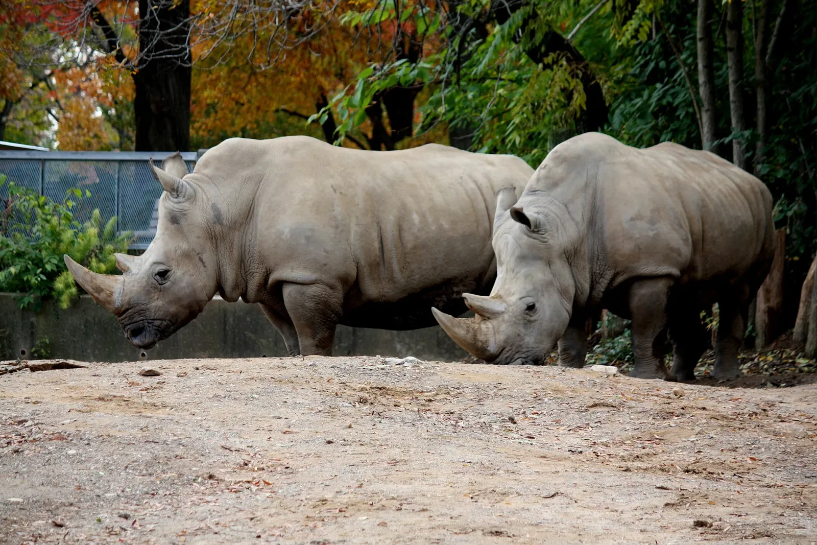 Louisville Zoological Garden