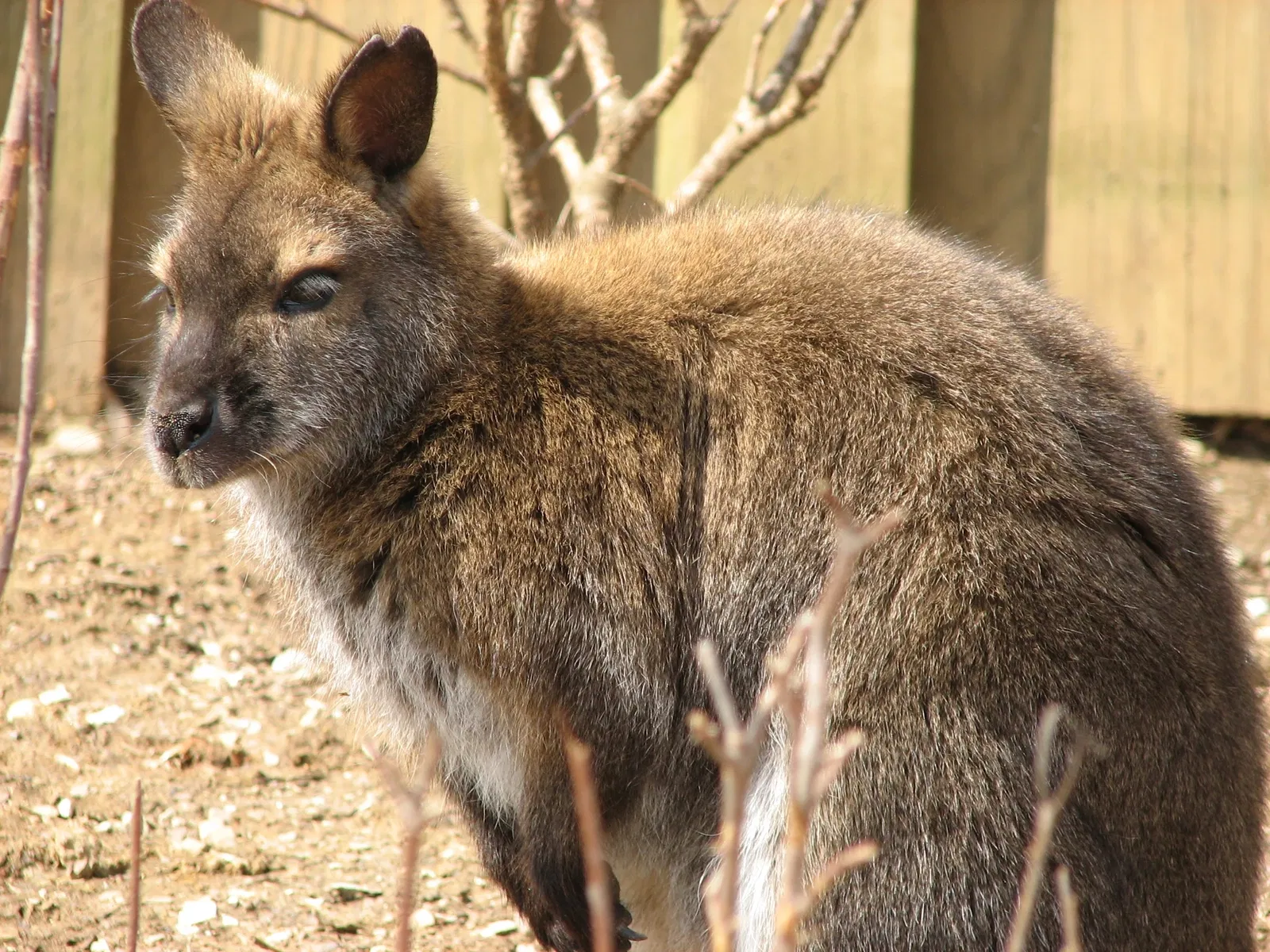 Louisville Zoological Garden