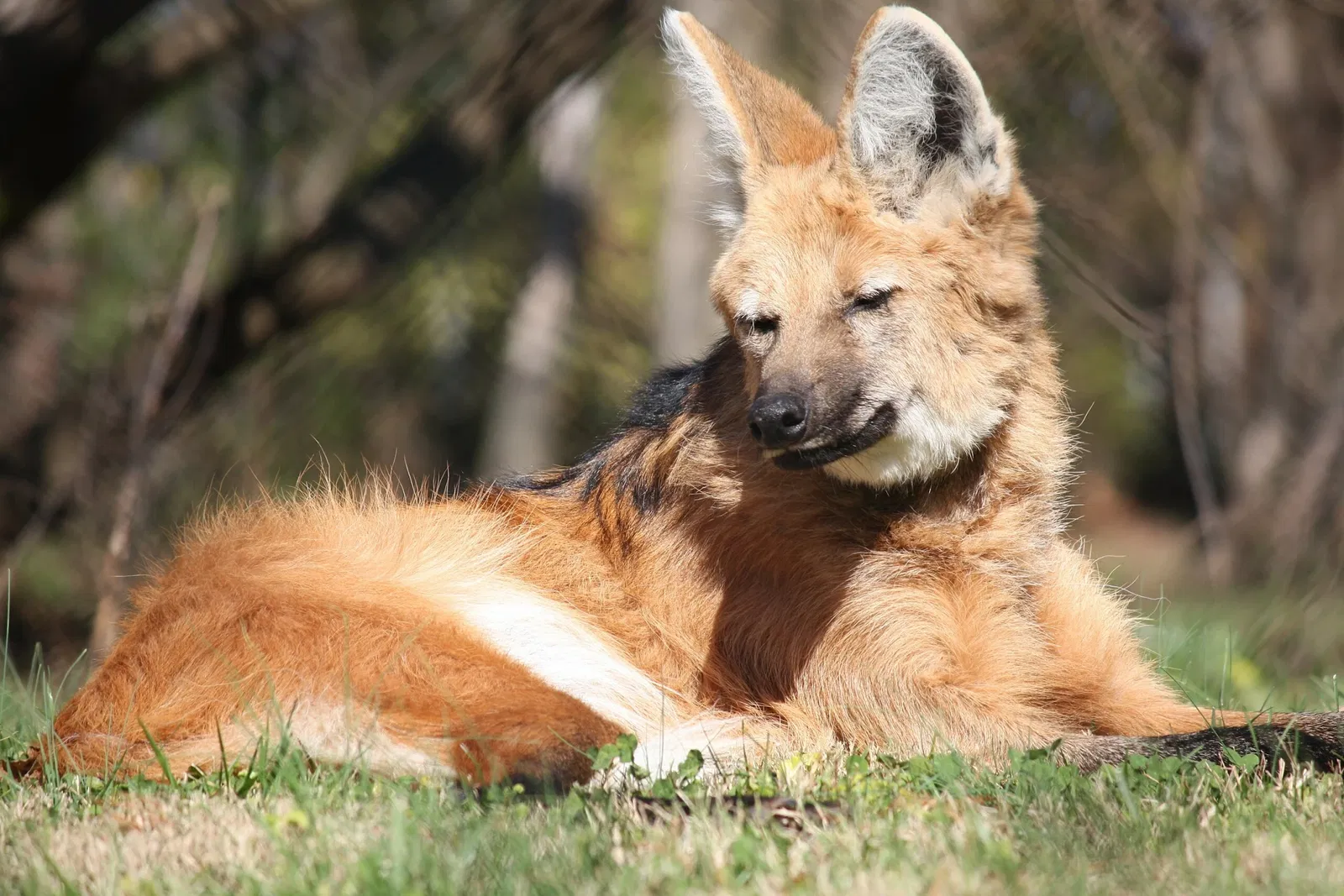 Louisville Zoological Garden