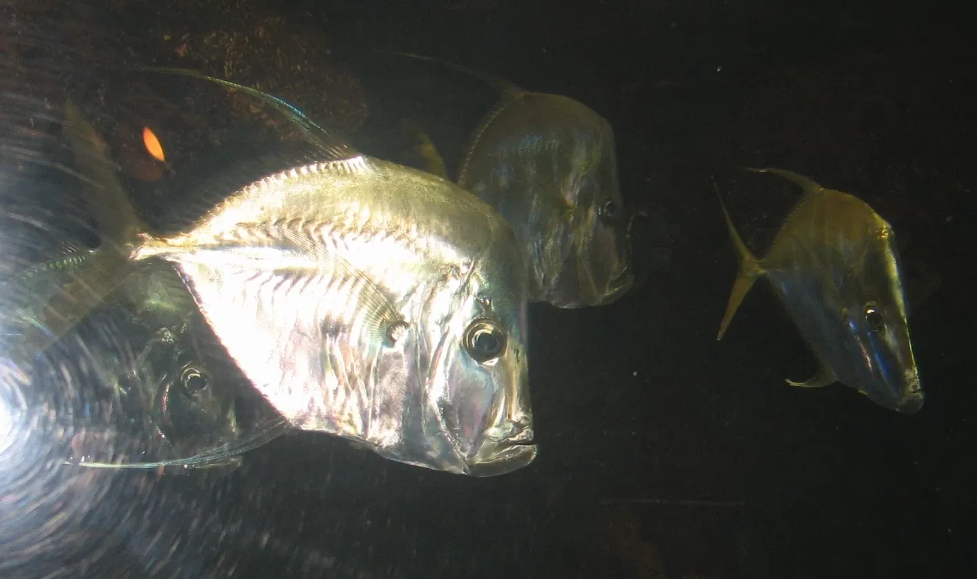 Louisville Zoological Garden