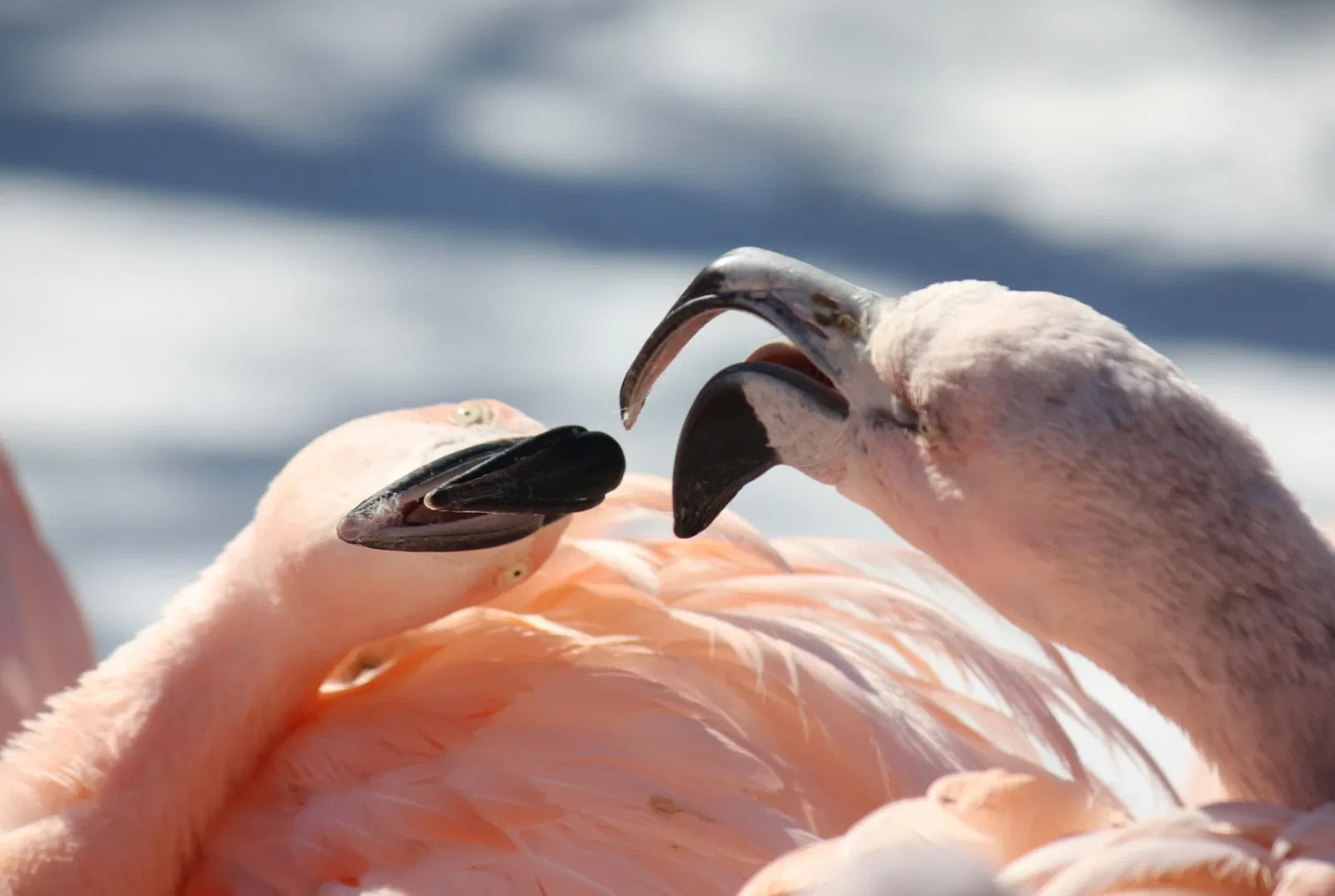 Louisville Zoological Garden