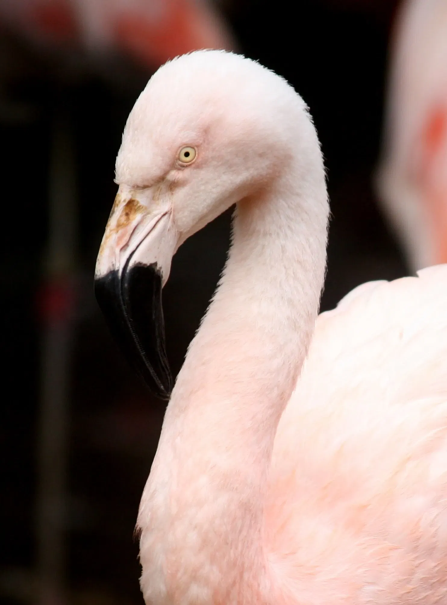 Louisville Zoological Garden