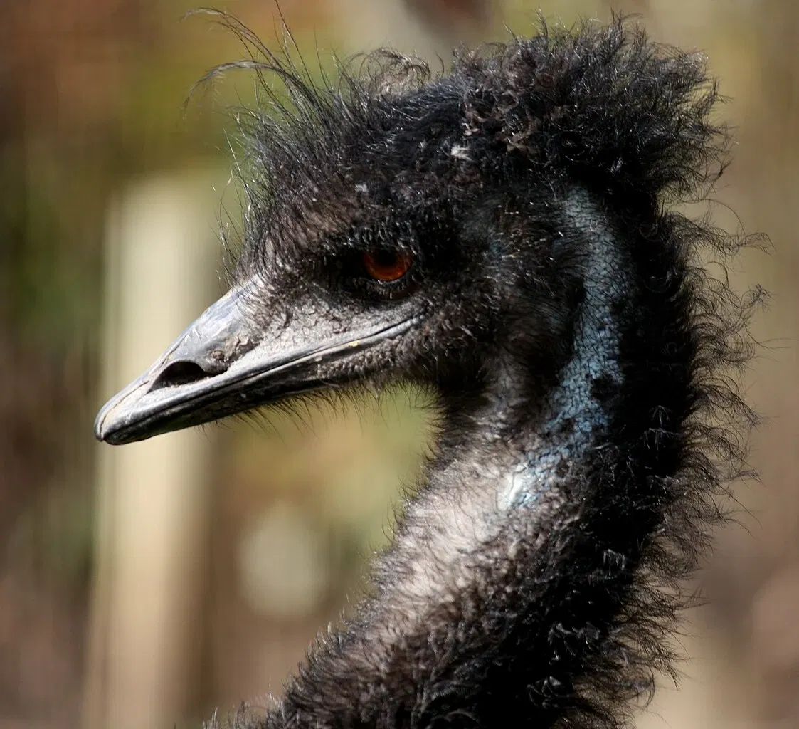 Louisville Zoological Garden