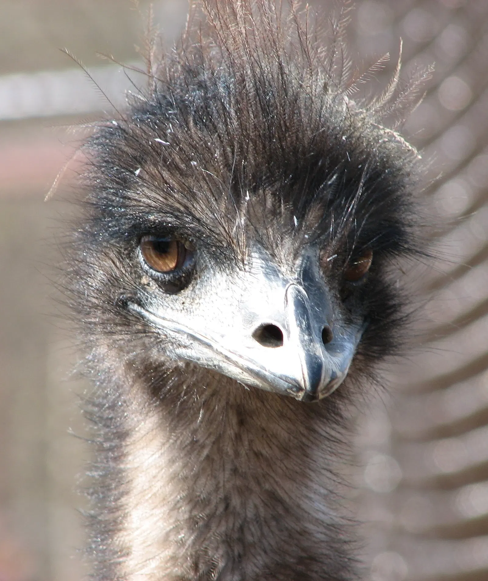 Louisville Zoological Garden