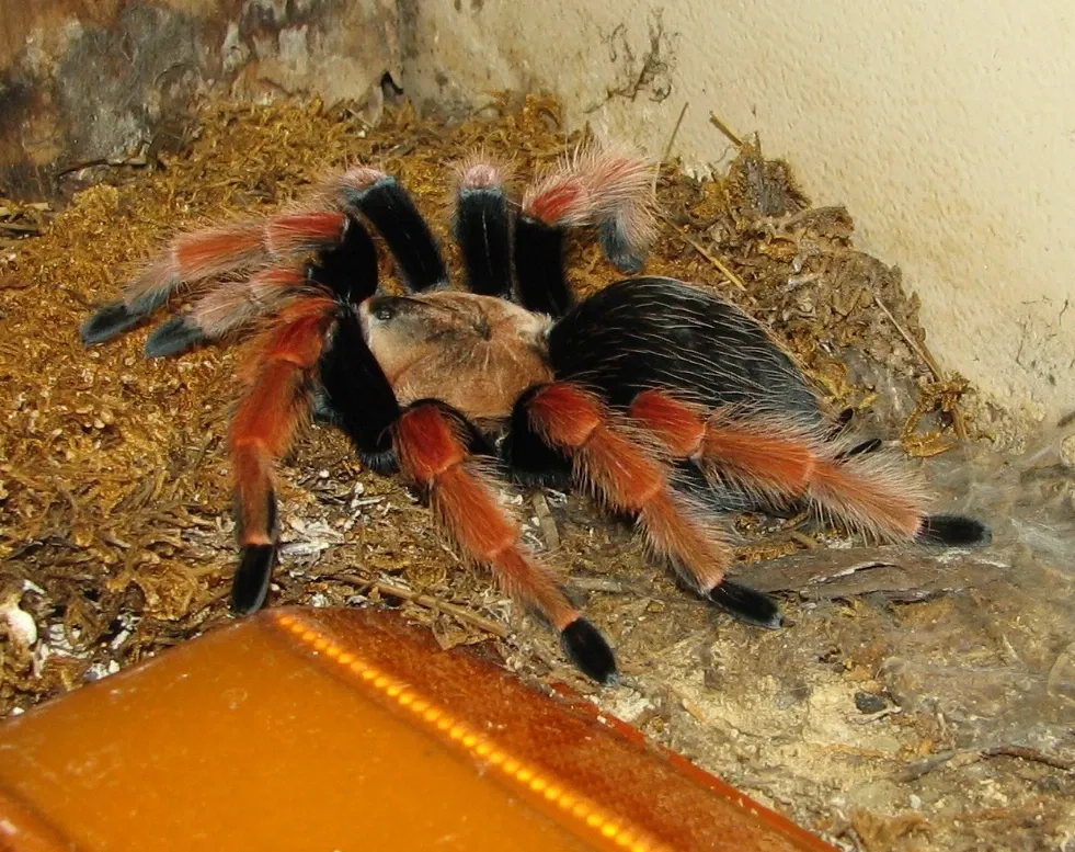 Louisville Zoological Garden