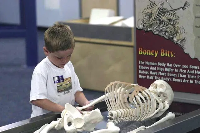 Museum of Science and Industry (Tampa)