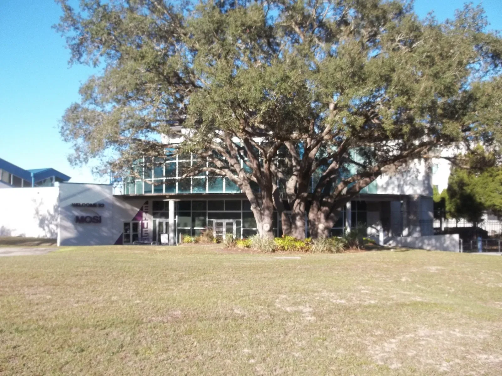 Museum of Science and Industry (Tampa)