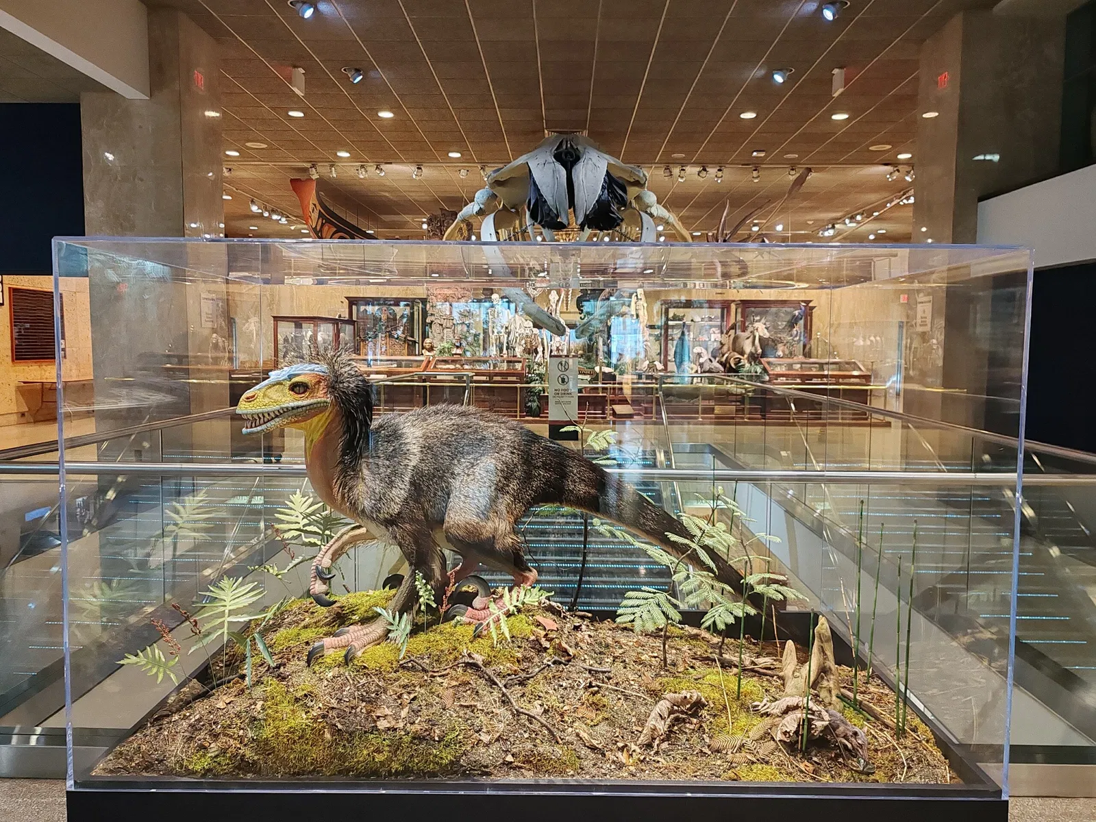 Museo Público de Milwaukee