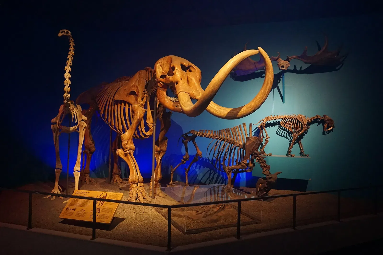 Museo Público de Milwaukee