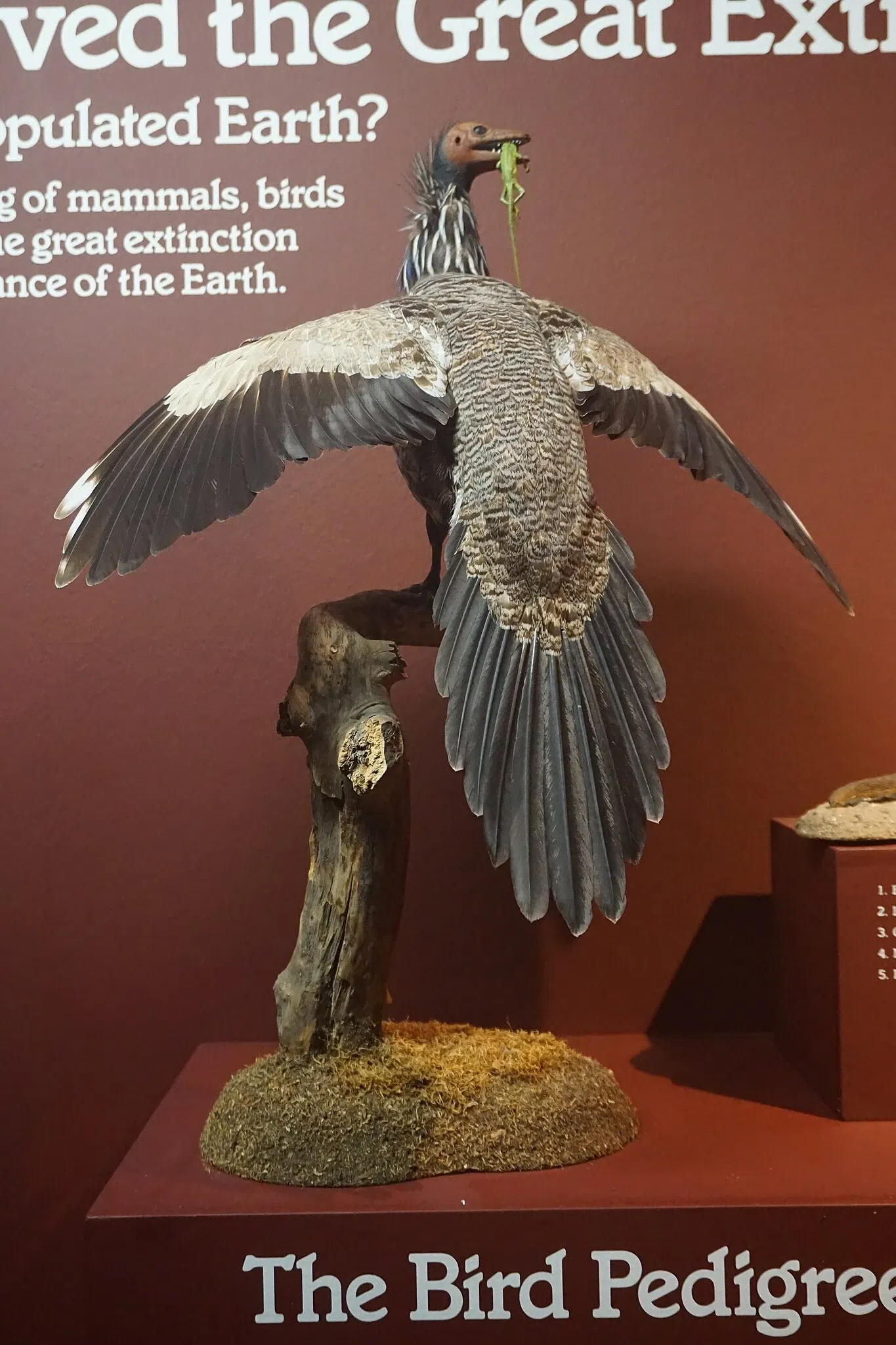 Museo Público de Milwaukee